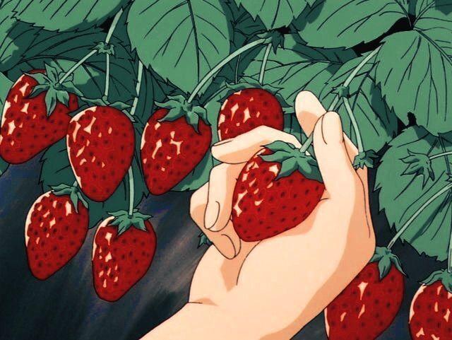 Farmer's Palette: Berry Medley Mix